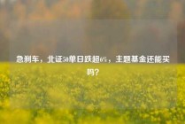 急刹车，北证50单日跌超6%，主题基金还能买吗？