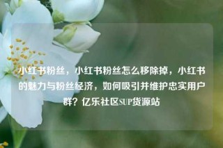 小红书粉丝，小红书粉丝怎么移除掉，小红书的魅力与粉丝经济，如何吸引并维护忠实用户群？亿乐社区SUP货源站