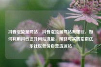 抖音涨流量网站，抖音涨流量网站有哪些，如何利用抖音提升网站流量，策略与实践指南亿乐社区低价自营货源站