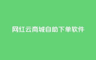 网红云商城自助下单软件