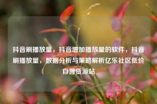 抖音刷播放量，抖音增加播放量的软件，抖音刷播放量，数据分析与策略解析亿乐社区低价自营货源站