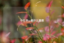 小红书up是什么意思