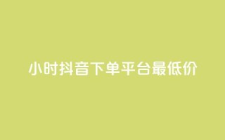 24小时抖音下单平台最低价 - 24小时抖音快速下单，平台最优惠价格!