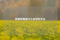 哔哩哔哩是什么类型的平台