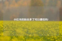 小红书的粉丝多了可以赚钱吗?