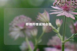 哔哩哔哩视频会员