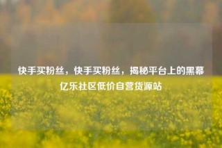 快手买粉丝，快手买粉丝，揭秘平台上的黑幕亿乐社区低价自营货源站