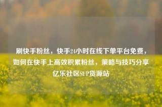 刷快手粉丝，快手24小时在线下单平台免费，如何在快手上高效积累粉丝，策略与技巧分享亿乐社区SUP货源站