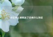 小红书上被限流了会有什么特征