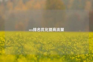 seo排名优化提高流量