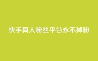 快手真人粉丝平台 永不掉粉 - 快手永不流失真实粉丝服务平台!