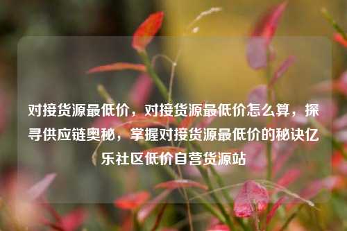 对接货源最低价	，对接货源最低价怎么算，探寻供应链奥秘，掌握对接货源最低价的秘诀亿乐社区低价自营货源站  第1张