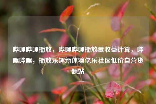 哔哩哔哩播放	，哔哩哔哩播放量收益计算，哔哩哔哩，播放乐趣新体验亿乐社区低价自营货源站  第1张
