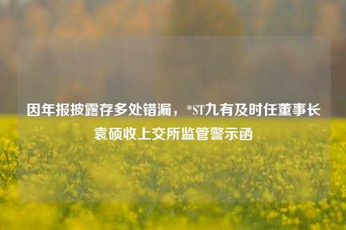 因年报披露存多处错漏，*ST九有及时任董事长袁硕收上交所监管警示函  第1张