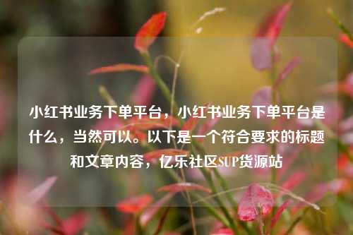 小红书业务下单平台，小红书业务下单平台是什么	，当然可以。以下是一个符合要求的标题和文章内容，亿乐社区SUP货源站  第1张