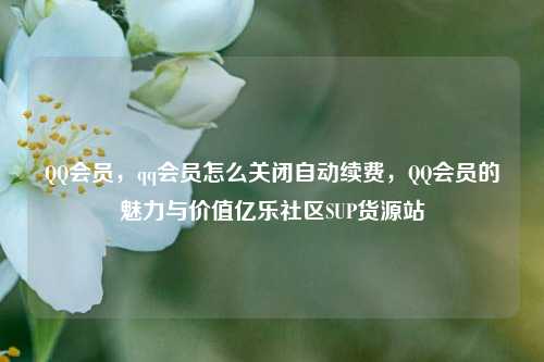 QQ会员	，qq会员怎么关闭自动续费，QQ会员的魅力与价值亿乐社区SUP货源站  第1张