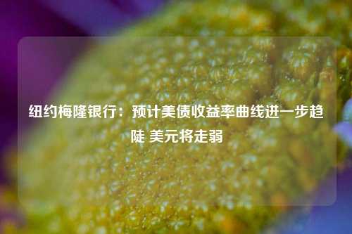 纽约梅隆银行：预计美债收益率曲线进一步趋陡 美元将走弱  第1张