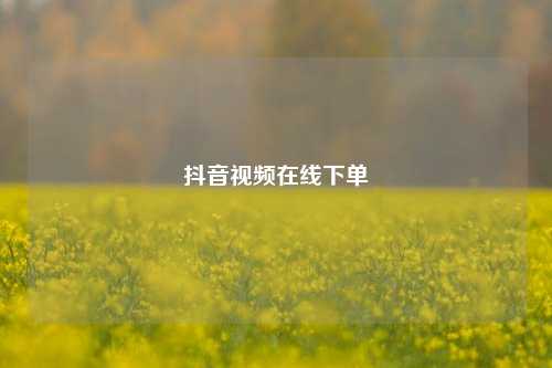 抖音视频在线下单  第1张