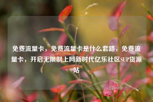 免费流量卡，免费流量卡是什么套路	，免费流量卡，开启无限制上网新时代亿乐社区SUP货源站  第1张