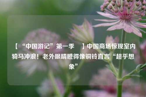 【“中国游记”第一季㉚】中国商场惊现室内骑马冲浪！老外眼睛瞪得像铜铃直言“超乎想象	”  第1张