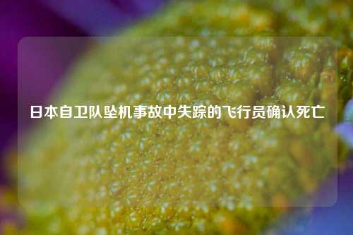 日本自卫队坠机事故中失踪的飞行员确认死亡  第1张