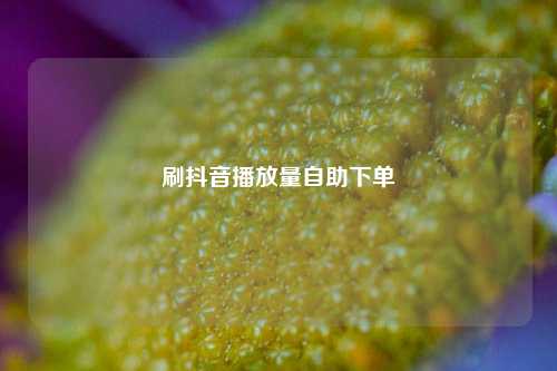 刷抖音播放量自助下单  第1张