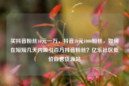 买抖音粉丝10元一万，抖音10元1000粉丝	，如何在短短几天内吸引百万抖音粉丝？亿乐社区低价自营货源站  第1张