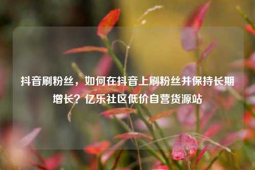 抖音刷粉丝，如何在抖音上刷粉丝并保持长期增长？亿乐社区低价自营货源站  第1张