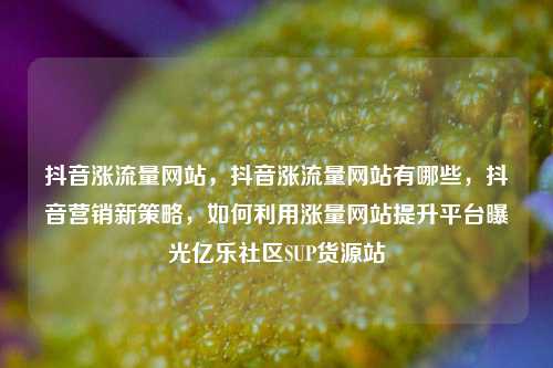 抖音涨流量网站，抖音涨流量网站有哪些，抖音营销新策略	，如何利用涨量网站提升平台曝光亿乐社区SUP货源站  第1张