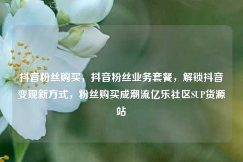 抖音粉丝购买，抖音粉丝业务套餐	，解锁抖音变现新方式，粉丝购买成潮流亿乐社区SUP货源站  第1张