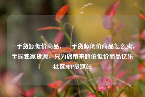 一手货源低价商品，一手货源低价商品怎么卖，手握独家货源	，只为您带来超值低价商品亿乐社区SUP货源站  第1张
