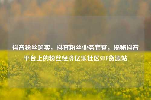 抖音粉丝购买，抖音粉丝业务套餐	，揭秘抖音平台上的粉丝经济亿乐社区SUP货源站  第1张