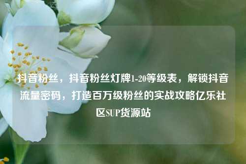 抖音粉丝，抖音粉丝灯牌1-20等级表，解锁抖音流量密码	，打造百万级粉丝的实战攻略亿乐社区SUP货源站  第1张