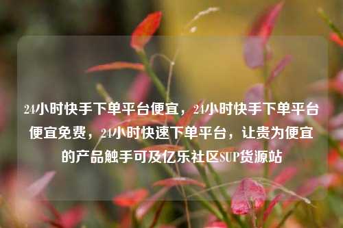 24小时快手下单平台便宜，24小时快手下单平台便宜免费，24小时快速下单平台	，让贵为便宜的产品触手可及亿乐社区SUP货源站  第1张