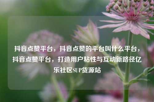 抖音点赞平台	，抖音点赞的平台叫什么平台，抖音点赞平台，打造用户粘性与互动新路径亿乐社区SUP货源站  第1张