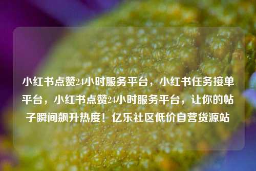 小红书点赞24小时服务平台，小红书任务接单平台，小红书点赞24小时服务平台	，让你的帖子瞬间飙升热度！亿乐社区低价自营货源站  第1张