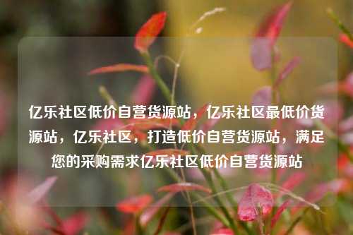 亿乐社区低价自营货源站，亿乐社区最低价货源站，亿乐社区	，打造低价自营货源站，满足您的采购需求亿乐社区低价自营货源站  第1张