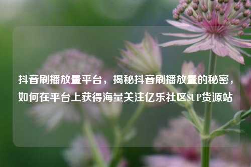 抖音刷播放量平台，揭秘抖音刷播放量的秘密，如何在平台上获得海量关注亿乐社区SUP货源站  第1张
