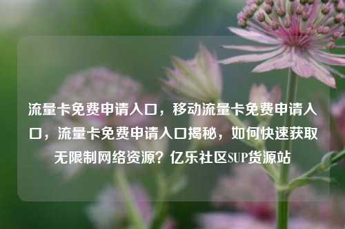 流量卡免费申请入口，移动流量卡免费申请入口，流量卡免费申请入口揭秘	，如何快速获取无限制网络资源？亿乐社区SUP货源站  第1张