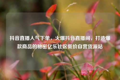 抖音直播人气下单，火爆抖音直播间	，打造爆款商品的秘密亿乐社区低价自营货源站  第1张