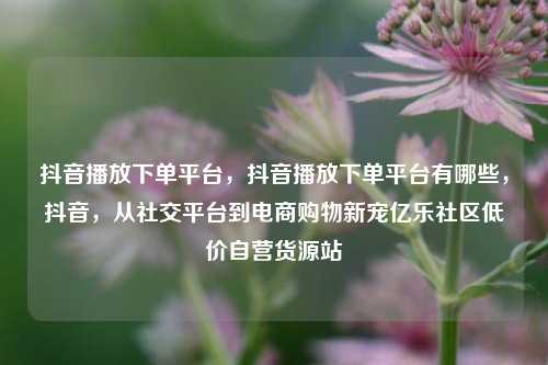 抖音播放下单平台，抖音播放下单平台有哪些	，抖音，从社交平台到电商购物新宠亿乐社区低价自营货源站  第1张
