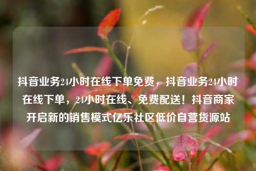 抖音业务24小时在线下单免费	，抖音业务24小时在线下单，24小时在线、免费配送！抖音商家开启新的销售模式亿乐社区低价自营货源站  第1张