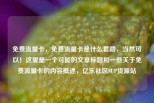 免费流量卡	，免费流量卡是什么套路，当然可以！这里是一个可能的文章标题和一些关于免费流量卡的内容概述，亿乐社区SUP货源站  第1张
