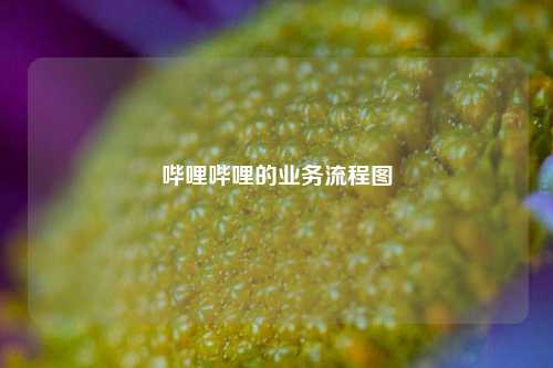 哔哩哔哩的业务流程图  第1张