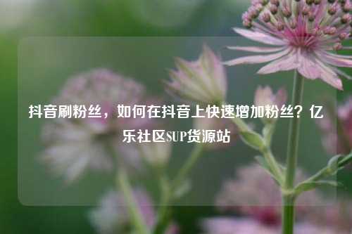抖音刷粉丝，如何在抖音上快速增加粉丝？亿乐社区SUP货源站  第1张