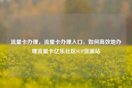 流量卡办理，流量卡办理入口，如何高效地办理流量卡亿乐社区SUP货源站  第1张
