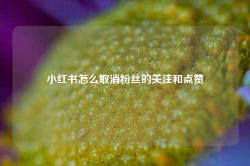 小红书怎么取消粉丝的关注和点赞  第1张