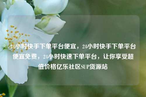 24小时快手下单平台便宜，24小时快手下单平台便宜免费	，24小时快速下单平台，让你享受超值价格亿乐社区SUP货源站  第1张