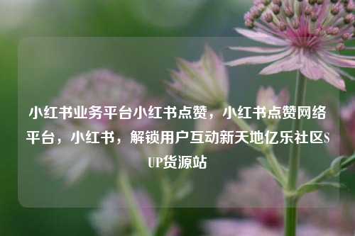 小红书业务平台小红书点赞，小红书点赞网络平台	，小红书，解锁用户互动新天地亿乐社区SUP货源站  第1张