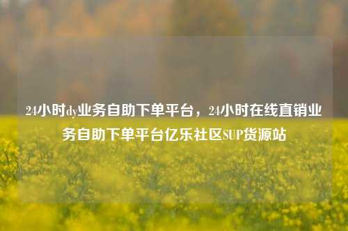 24小时dy业务自助下单平台，24小时在线直销业务自助下单平台亿乐社区SUP货源站  第1张